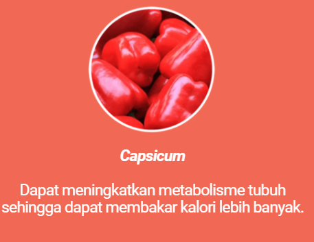 capsicum